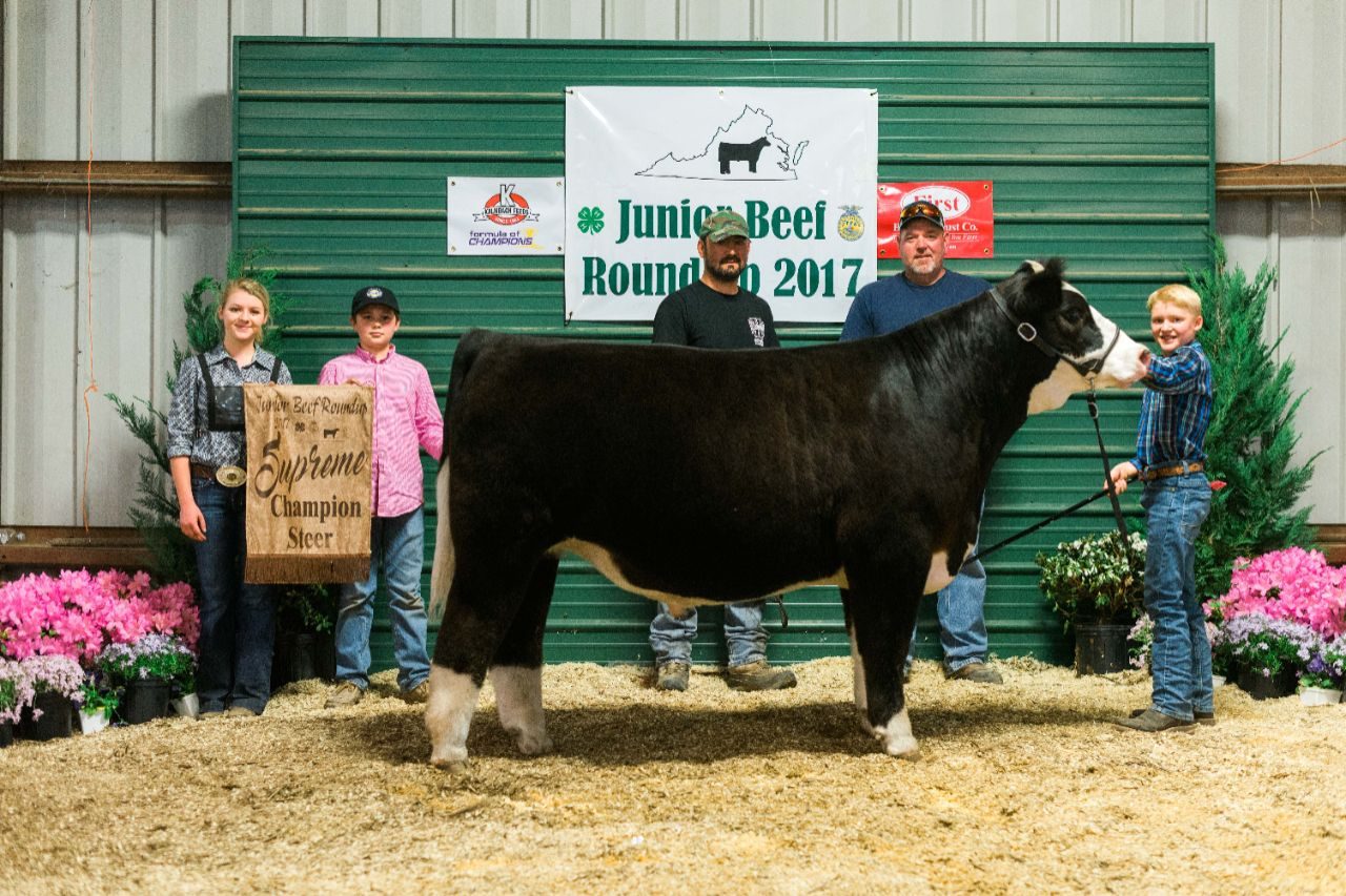2017 Junior Beef Roundup Supreme Champion Steer shown by Houston KIbler of Shenandoah County