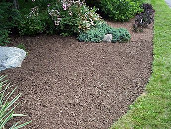 Mulch bed with edge