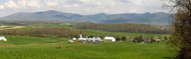 Agriculture Agriculture