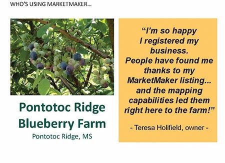 Pontotoc Ridge Blueberry Farm