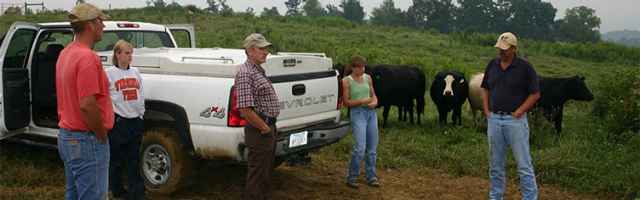 Veterinary Medicine header image