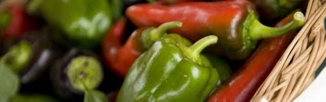 Food Security