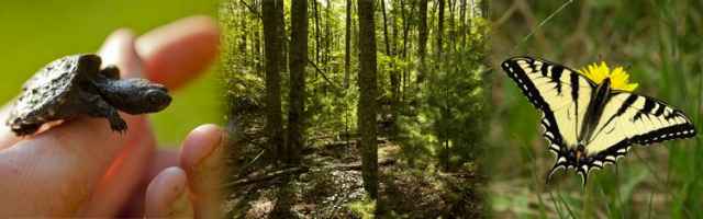 Virginia Master Naturalist Program