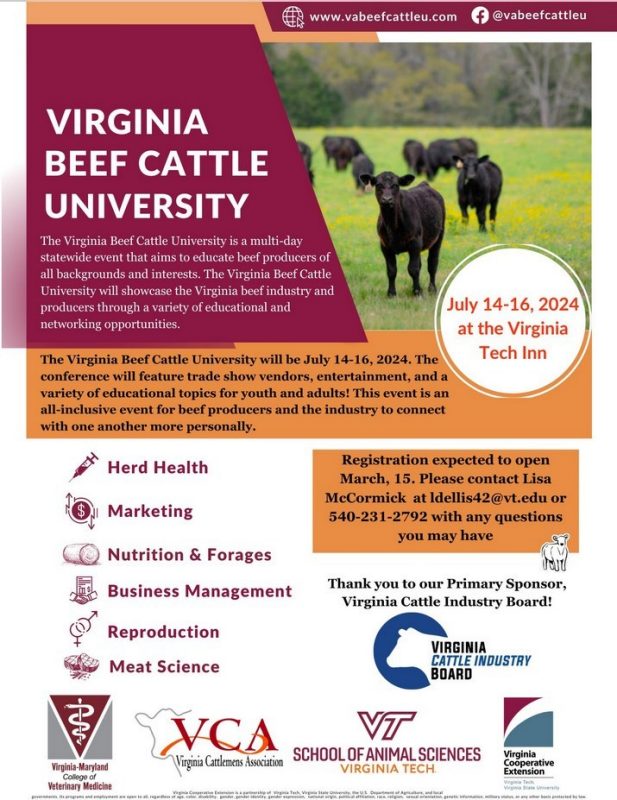 Flyer screenshot. Virginia Beef Cattle University July 14-16. Variety of topics: herd health, marketing, nutrition and forages, business management, reproduction, meat science. Contact Lisa McCormick: ldellis42@vt.edu or 540-231-2792.