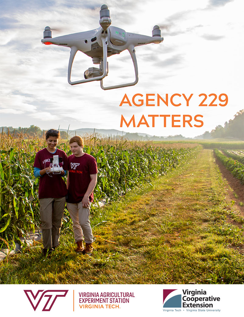 Agency 229 Matters - 2018