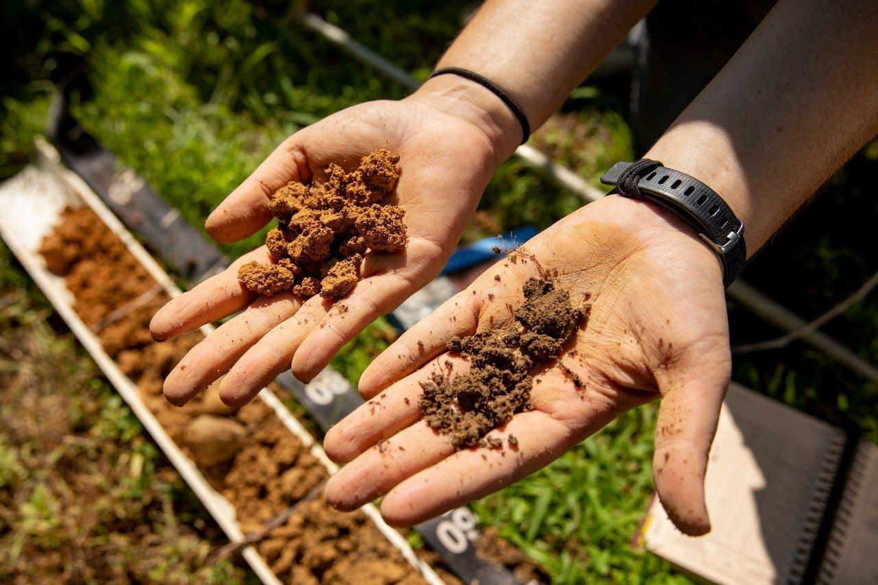 Conservation partners launch ‘4TheSoil’ awareness initiative
