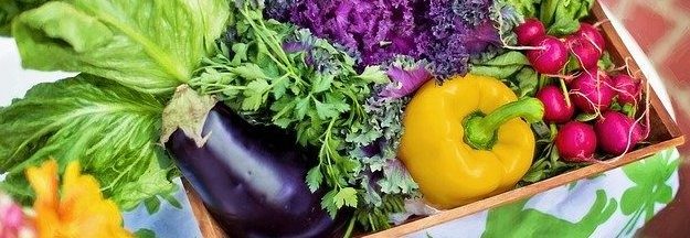 vegetables in basket