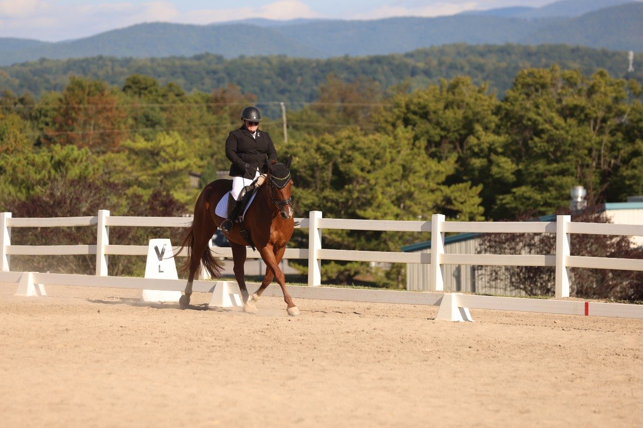Wren Brandel in Dressage