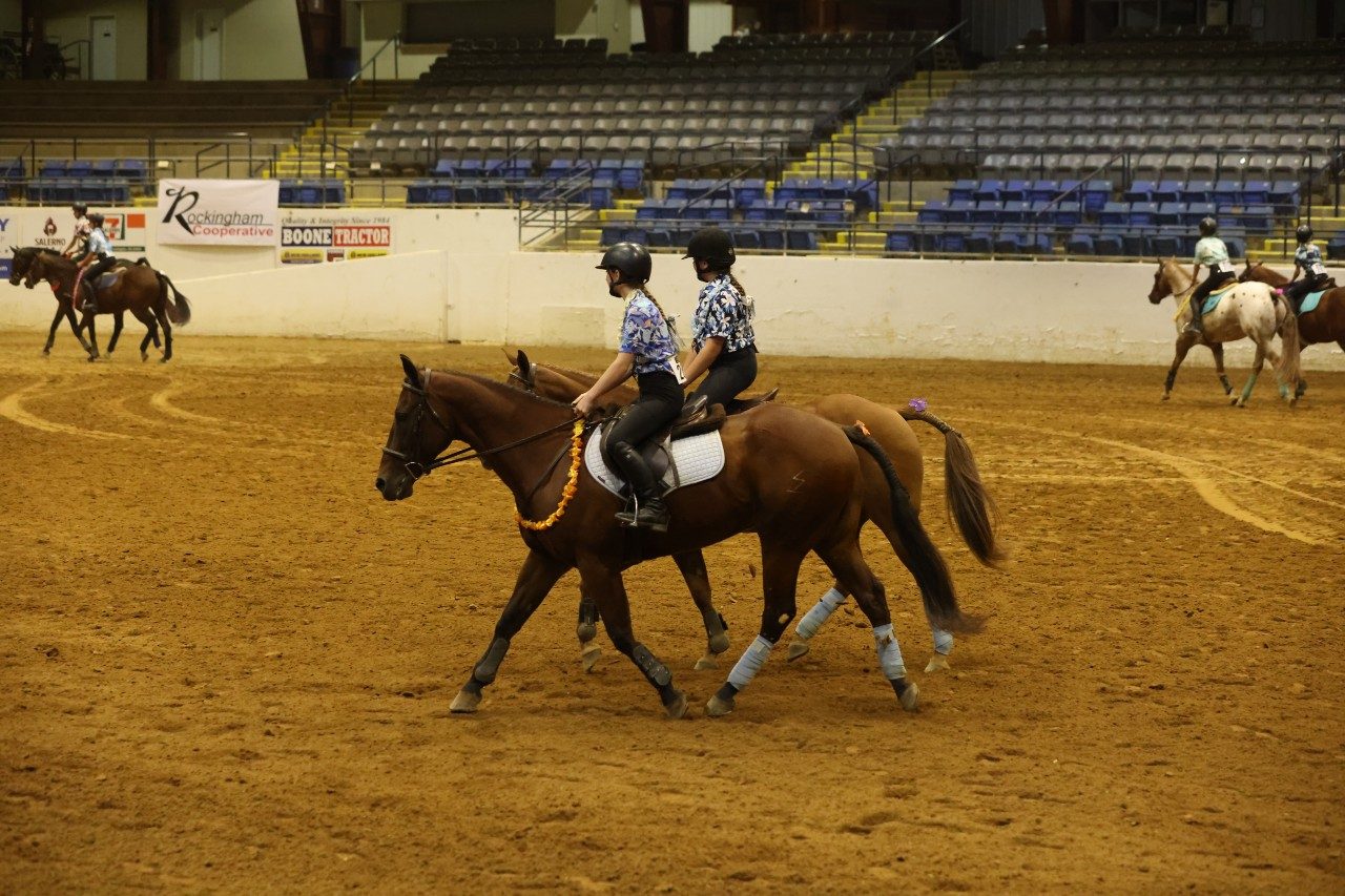 Albemarle "Stirrup Trouble" Drill Team