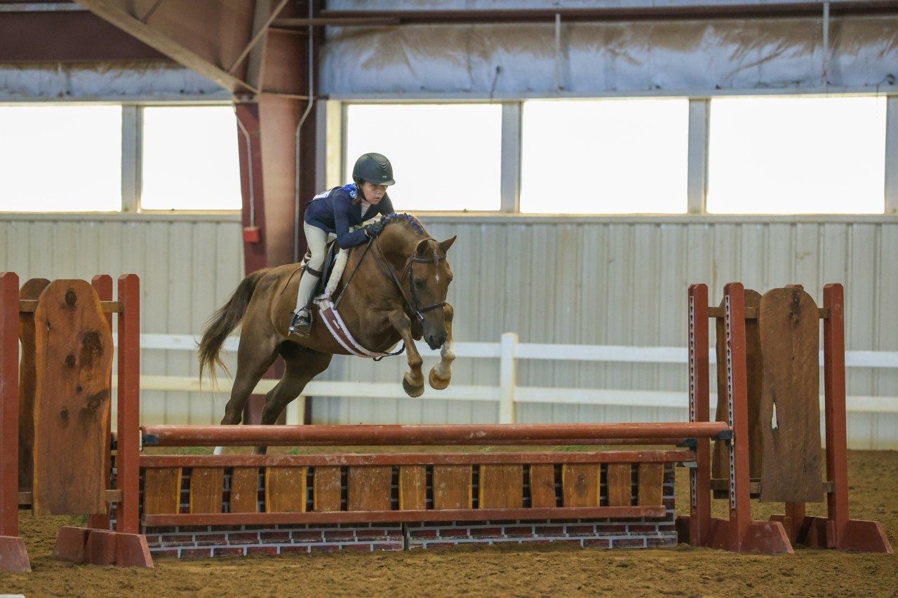 Hunter Over Fences