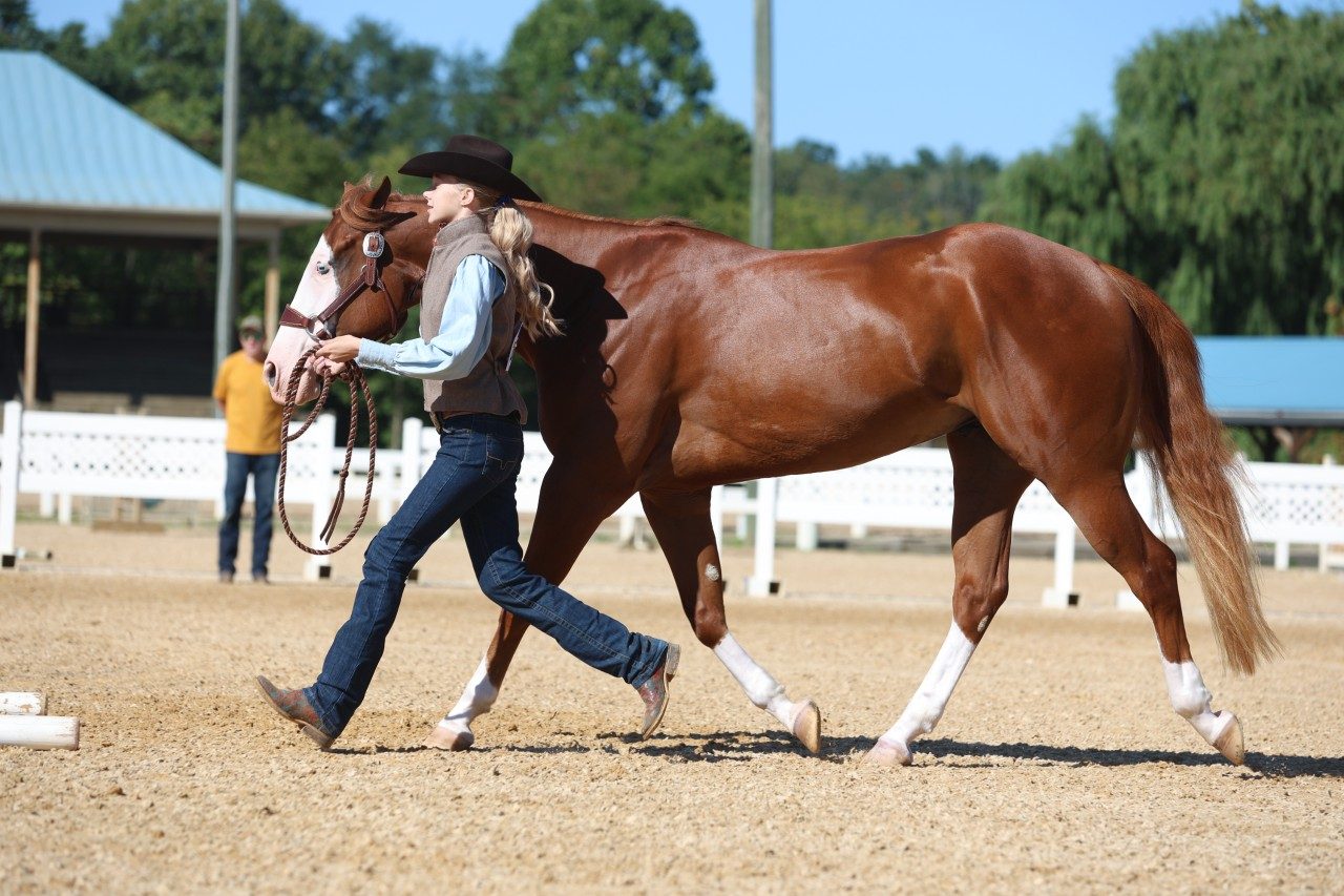 Sophie Roehl in Ranch Ground Handling