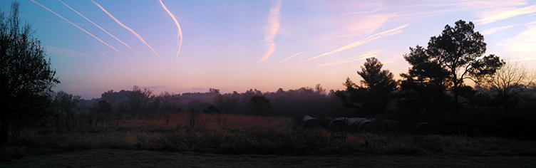 Legacy Planning for Forest Landowners