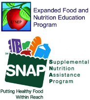 https://ext.vt.edu/content/dam/ext_vt_edu/topics/food-health/family-nutrition-program/images/efnep-snap-combo.jpg