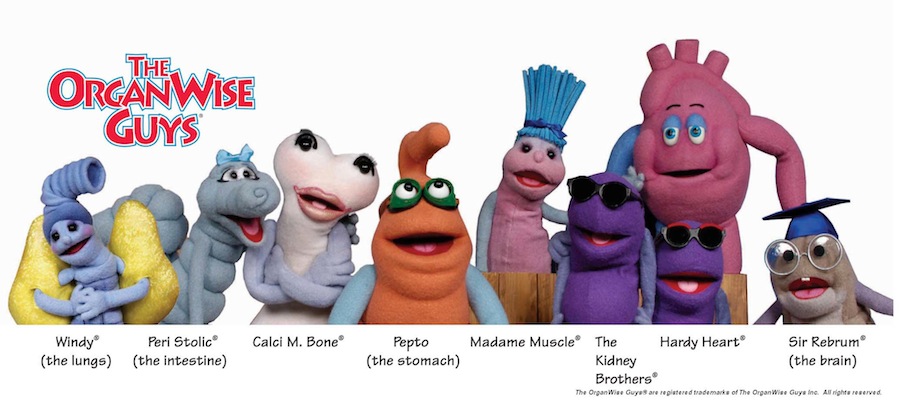 image of Organwise Guys