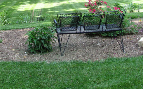 Mulched flower bed