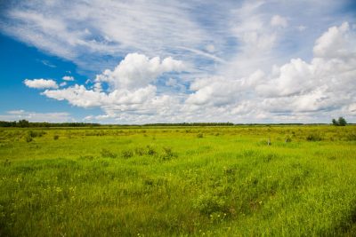 a prarie and grasland in eastern North Dakota.