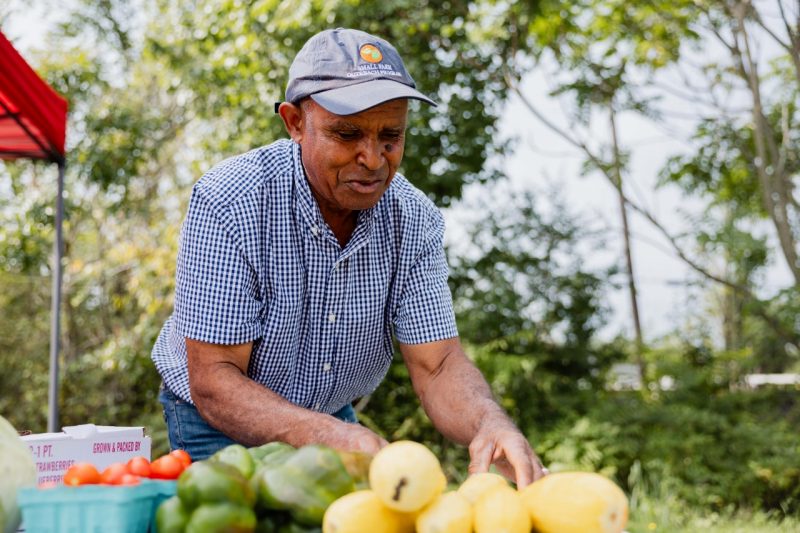 A man arranges vegetables at a farm stand.