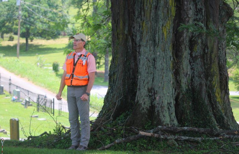 Associate Professor Eric Wiseman stands beside the national champion honey locust tree, located in Fincastle, Va.