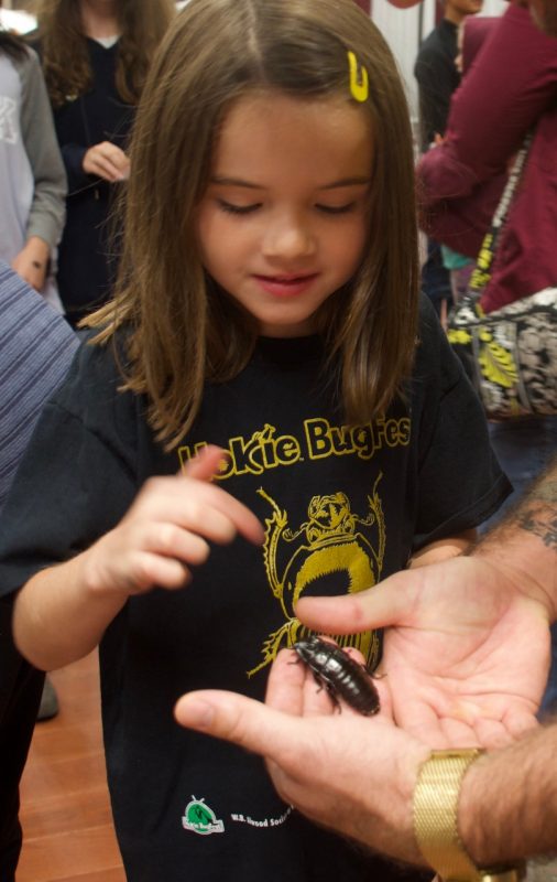Girl at Hokie BugFest 2019 preparing to touch a roach.