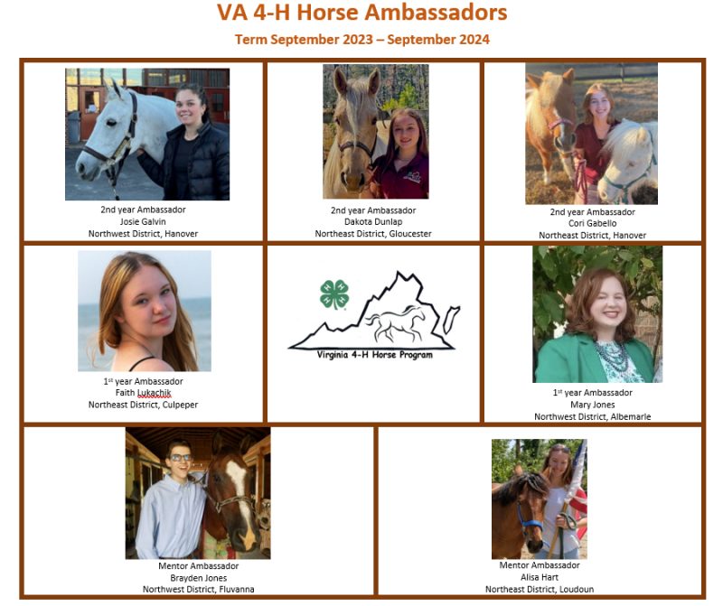 VA 4-H Horse Ambassadors