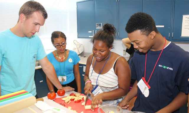 4-H SPIN Clubs