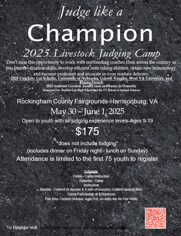 Judge Like a Champ Camp