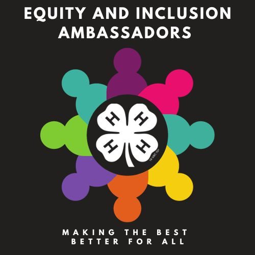 virginia 4-H equity and inclusion teen summit logo