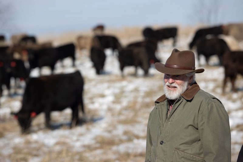 Man with a beard stands in a snowy field with cows in the background. He wears a cowboy hat and coat.