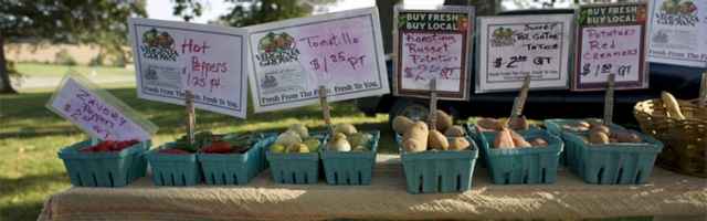 Community Food Security and Food Systems