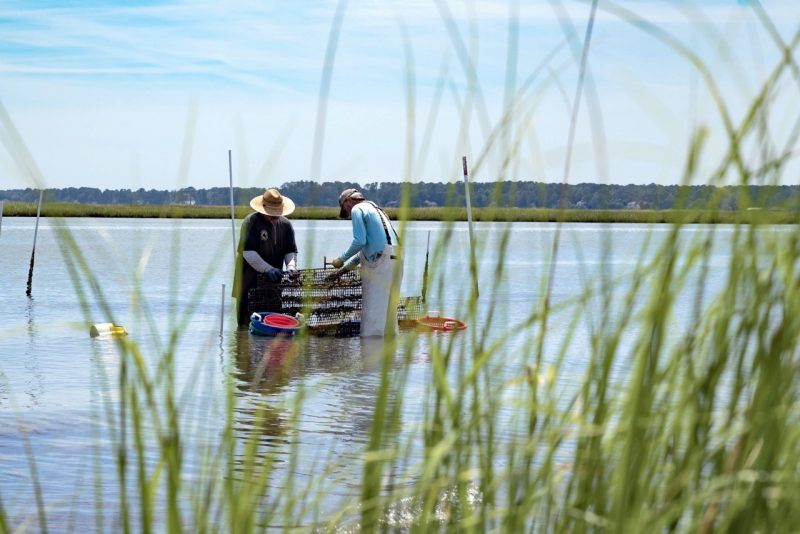 Two people on a small boat in the water