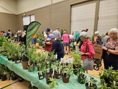 People stand behind tables of plants