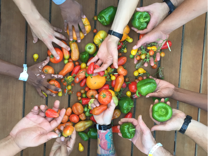 Hands holding vegetables