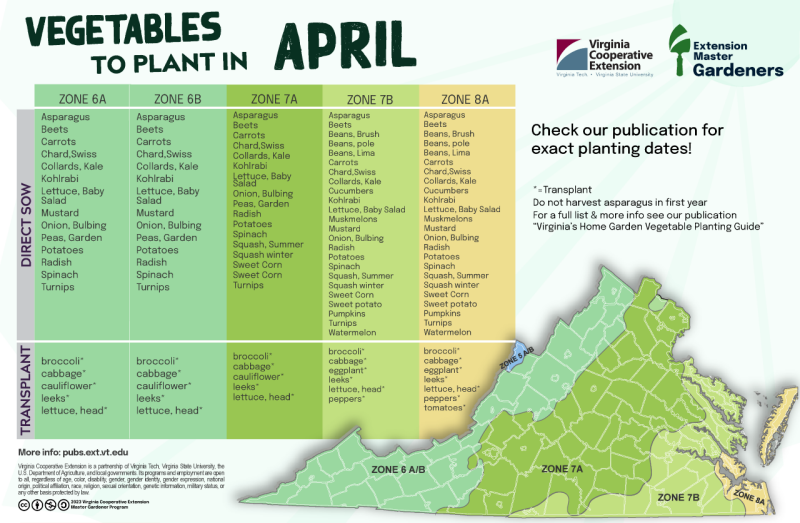 Vegetables to plant in April with list as it appears on page