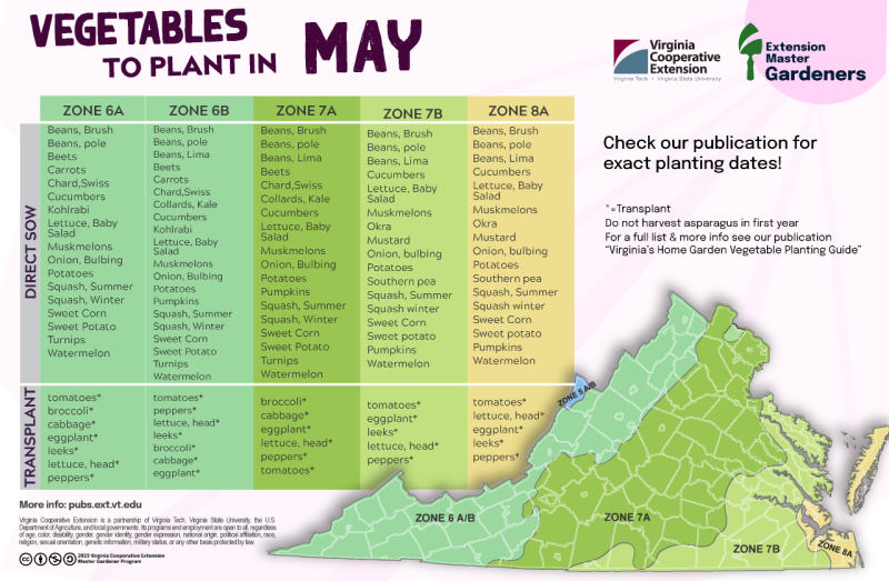 Vegetables to plant in May with list as it appears on page