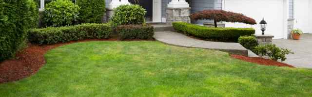 Turf and Garden Tips