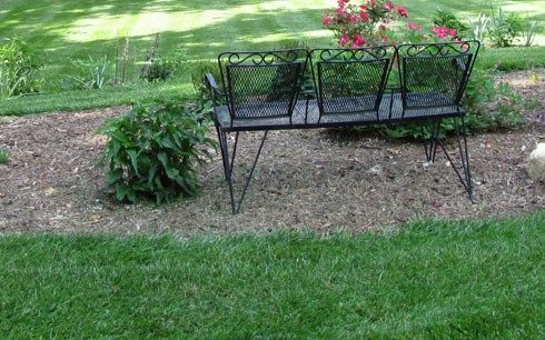 Mulched flower bed