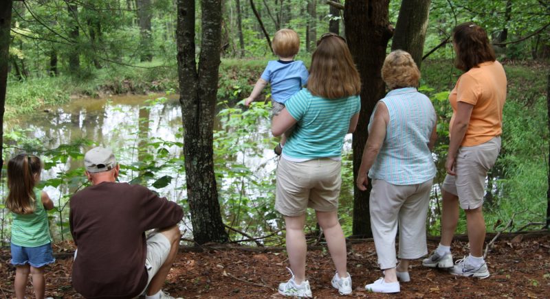 Legacy Planning for Forest Landowners