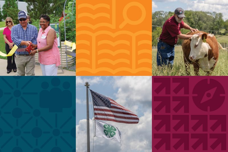 Six square images form a patchwork grid showing people with giant scissors at a garden, a man petting a cow, and the US flag with the 4h flag among patterned blocks.