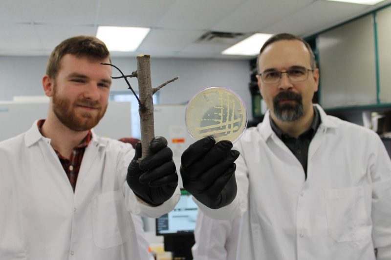 Two scientists hold a petri dish