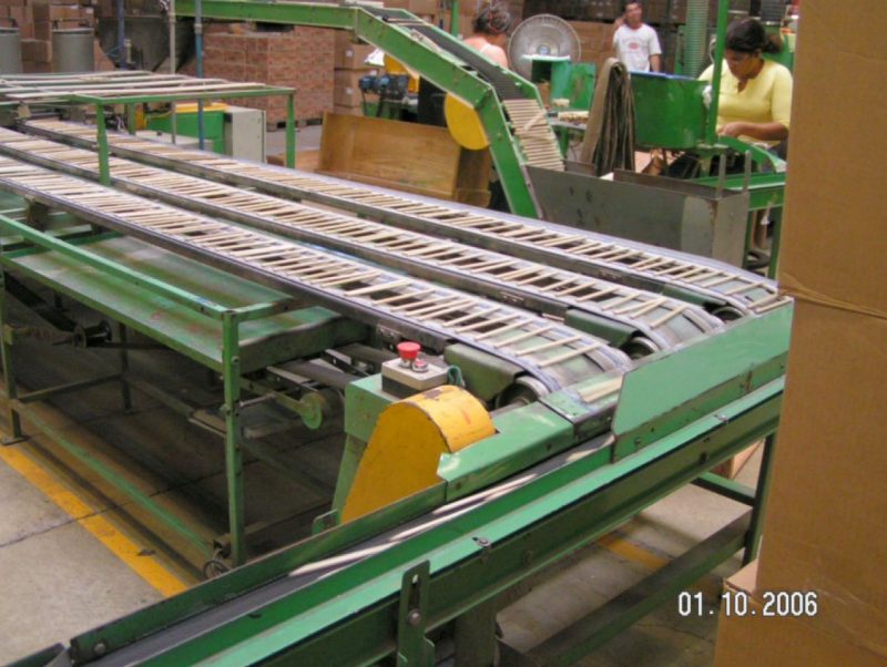 A green conveyor belt system loaded with pencils.