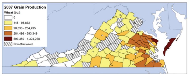 Map of Virginia wheat production by county.