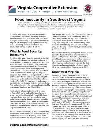 Cover page of the publication.