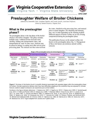 Cover page of the publication.