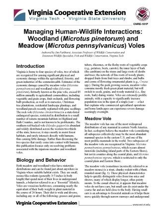 Cover page of the publication.