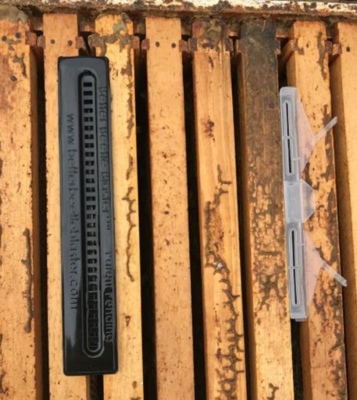 Two popular Small Hive beetle traps, the Better Beetle Blaster™ (left) and Beetle Jail™ (right), inserted between frames.
