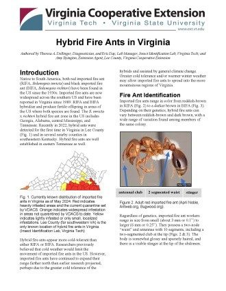 Cover page of the publication.