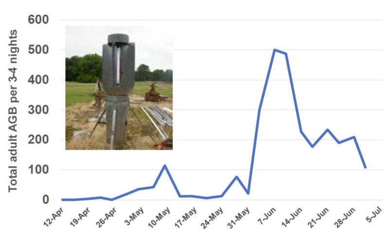 A line graph indicating beetle captures with a metal black light trap. Photo of metal trap included in the graph for reference.