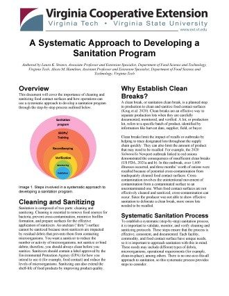 Cover page of the publication.