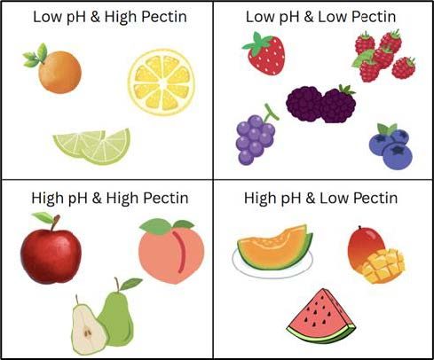A chart divided into four quadrants categorizing fruits based on their pH and pectin content. Top left includes examples of low pH and high pectin fruits, including oranges, lemons, and limes. Top right includes examples of low pH and low pectin, including strawberries, raspberries, blackberries, blueberries, and grapes. Bottom left includes examples of high pH and high pectin, including apples, peaches, and pears. Bottom right includes examples of high pH and low pectin, including cantaloupes, mangoes, and watermelon. 