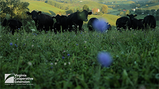 Cover for publication: It All Starts with Your Soil …And Volunteers!